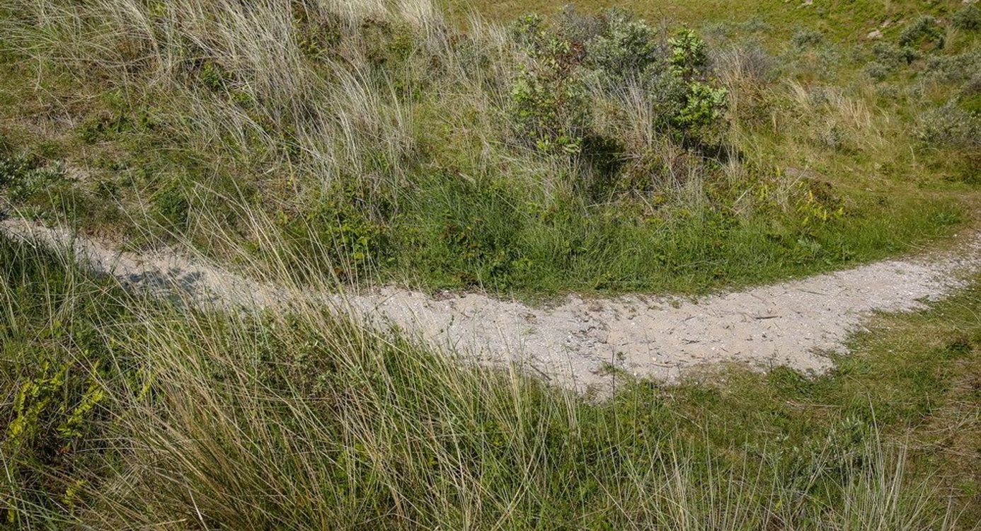 Trailrun Schiermonnikoog (Friesland)