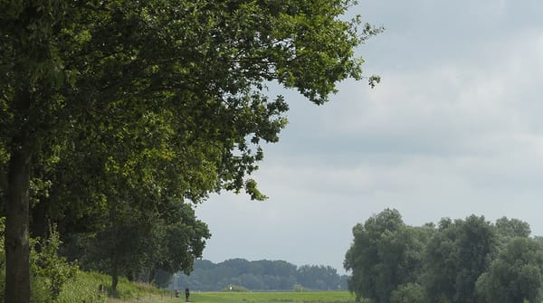 Fietsroute Hoge Land van Vollenhove