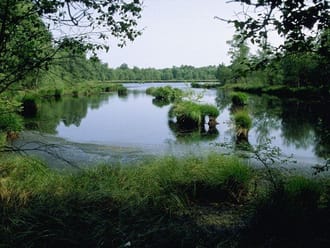Wandelroute het Witte Veen