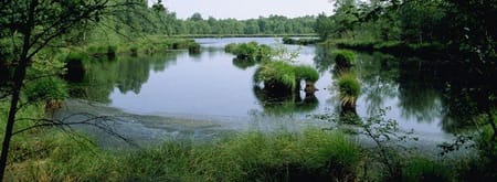 Wandelroute het Witte Veen