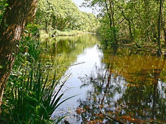 Wandelroute De Quackroute in Voornes Duin, bij Hellevoetsluis