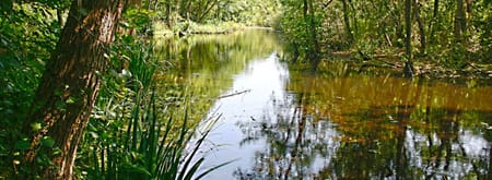 Wandelroute De Quackroute in Voornes Duin, bij Hellevoetsluis