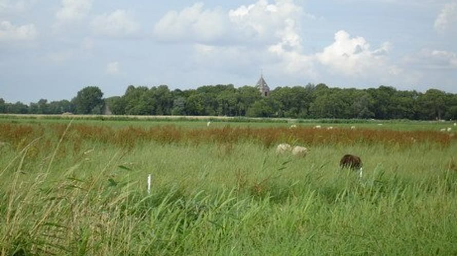 Wandelroute Biessumerbos en Voolhok (Groningen)