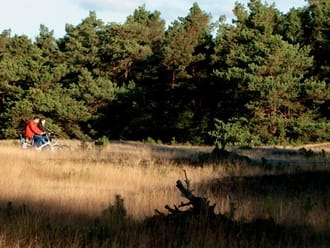 Fietsroute Smaakvol Landschap bij Arnhem
