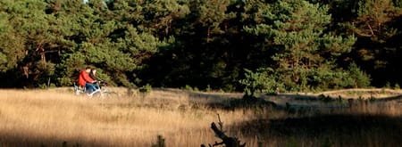 Fietsroute Smaakvol Landschap bij Arnhem