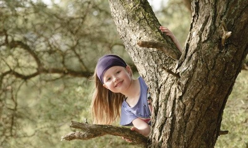Wandelroute Holtingerveld, vlakbij Havelte
