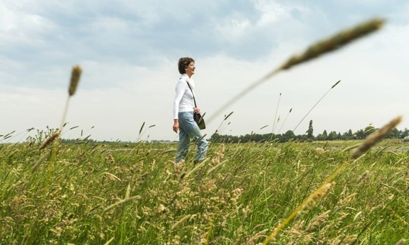 Wandelroute Jos Gemmekepad door Ruygeborg, Nieuwkoopse Plassen