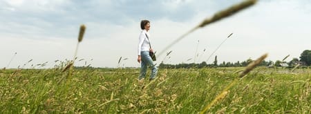 Wandelroute Jos Gemmekepad door Ruygeborg, Nieuwkoopse Plassen