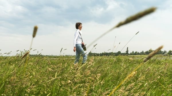 Wandelroute Jos Gemmekepad door Ruygeborg, Nieuwkoopse Plassen
