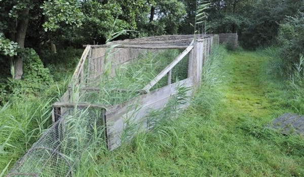 De eendenkooi
