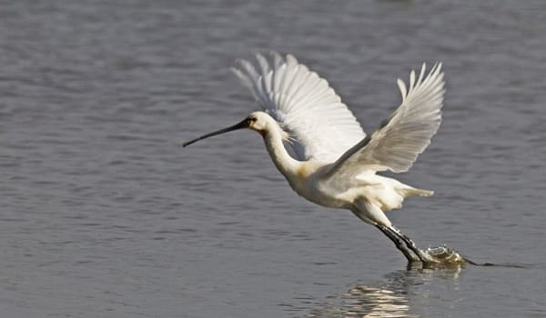 Bankje met uitzicht op de plas