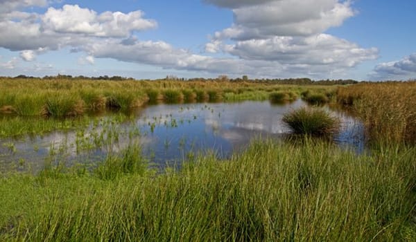 Natuurlijke waterstanden