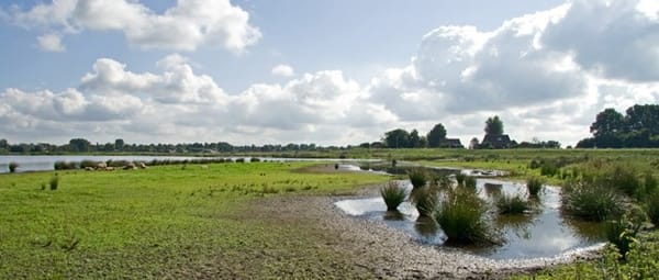 Natuurlijke waterstanden