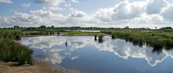 Natuurlijke waterstanden
