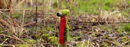 Klimaatbosroute, vlakbij Biddinghuizen