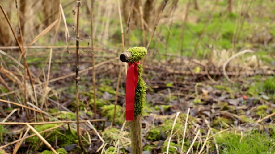 Klimaatbosroute, vlakbij Biddinghuizen