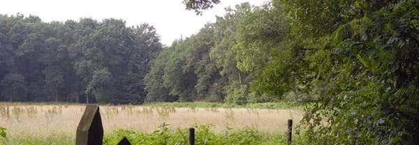 Telgterveld