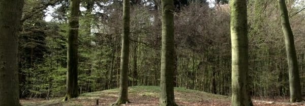 Grafheuvel
