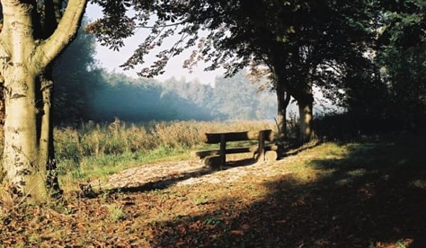 Zwemplas