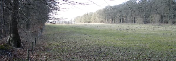 Grasland
