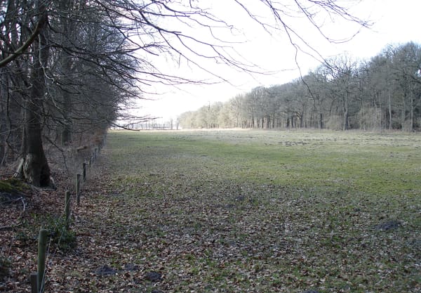 Grasland Grasland