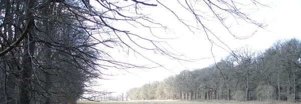 Grasland Grasland