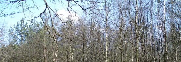 Kapvlakte Kapvlakte