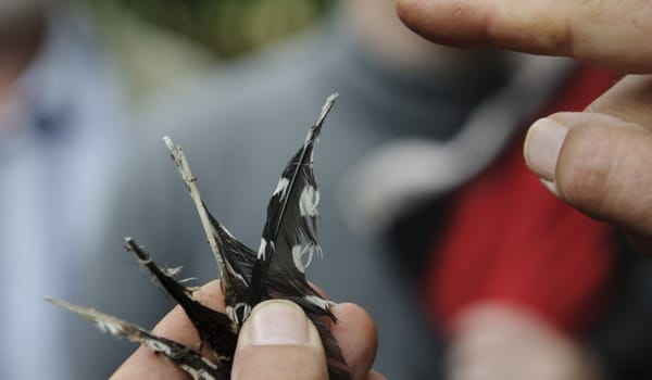 Speuren naar sporen Speuren naar sporen