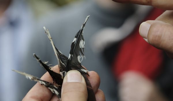 Speuren naar sporen Speuren naar sporen