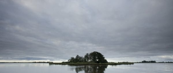 Bovenwijde