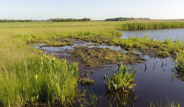 Trilveen Trilveen