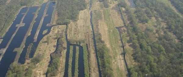 Trilveen Trilveen