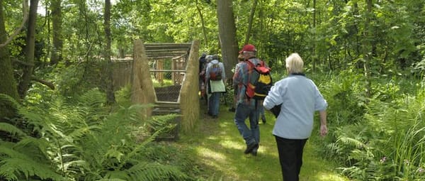 Grote Otterskooi