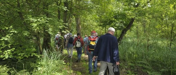 Grote Otterskooi