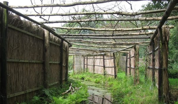 Eendenkooi Eendenkooi