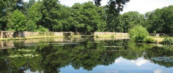Eendenkooi Eendenkooi