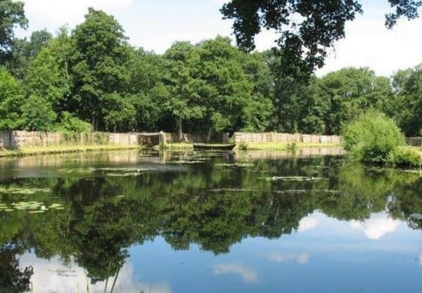 Eendenkooi Eendenkooi