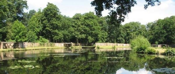 Eendenkooi Eendenkooi