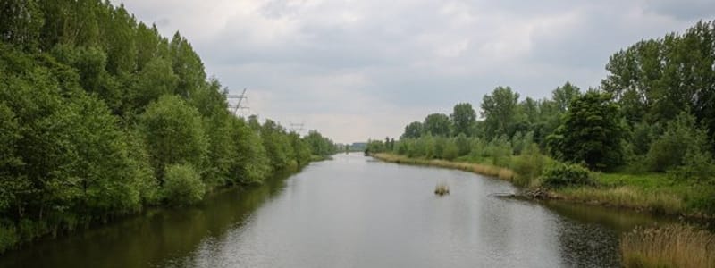 Hoge Dwarsvaart Hoge Dwarsvaart