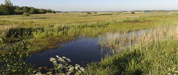 Drijvend land