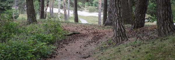 Verborgen single-track