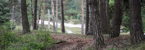 Verborgen single-track Verborgen single-track