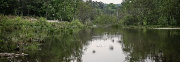 Beekdal