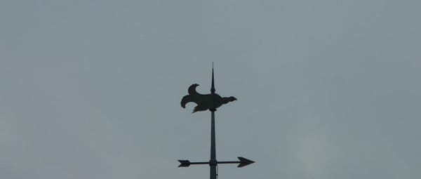 Palthetoren