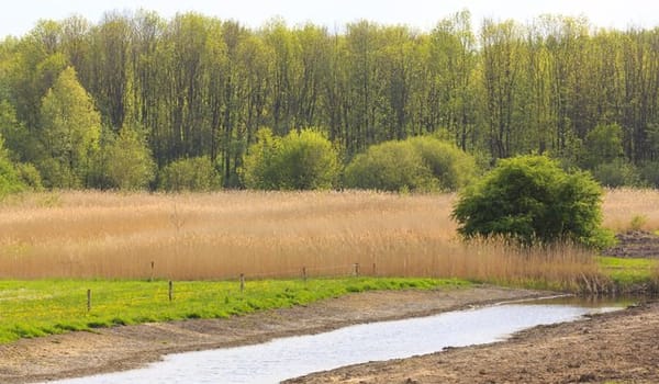 Mosseltocht