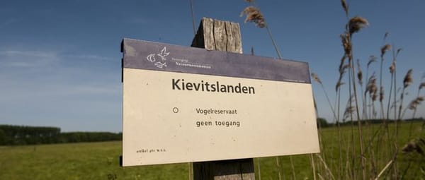Mosseltocht