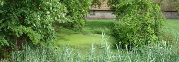 Landschap