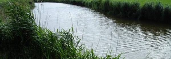 De weg langs de maar
