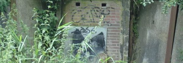 Vleermuizen in een bunker