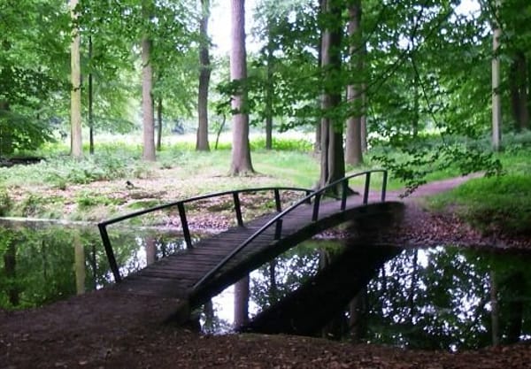 Over de scheidingssloot